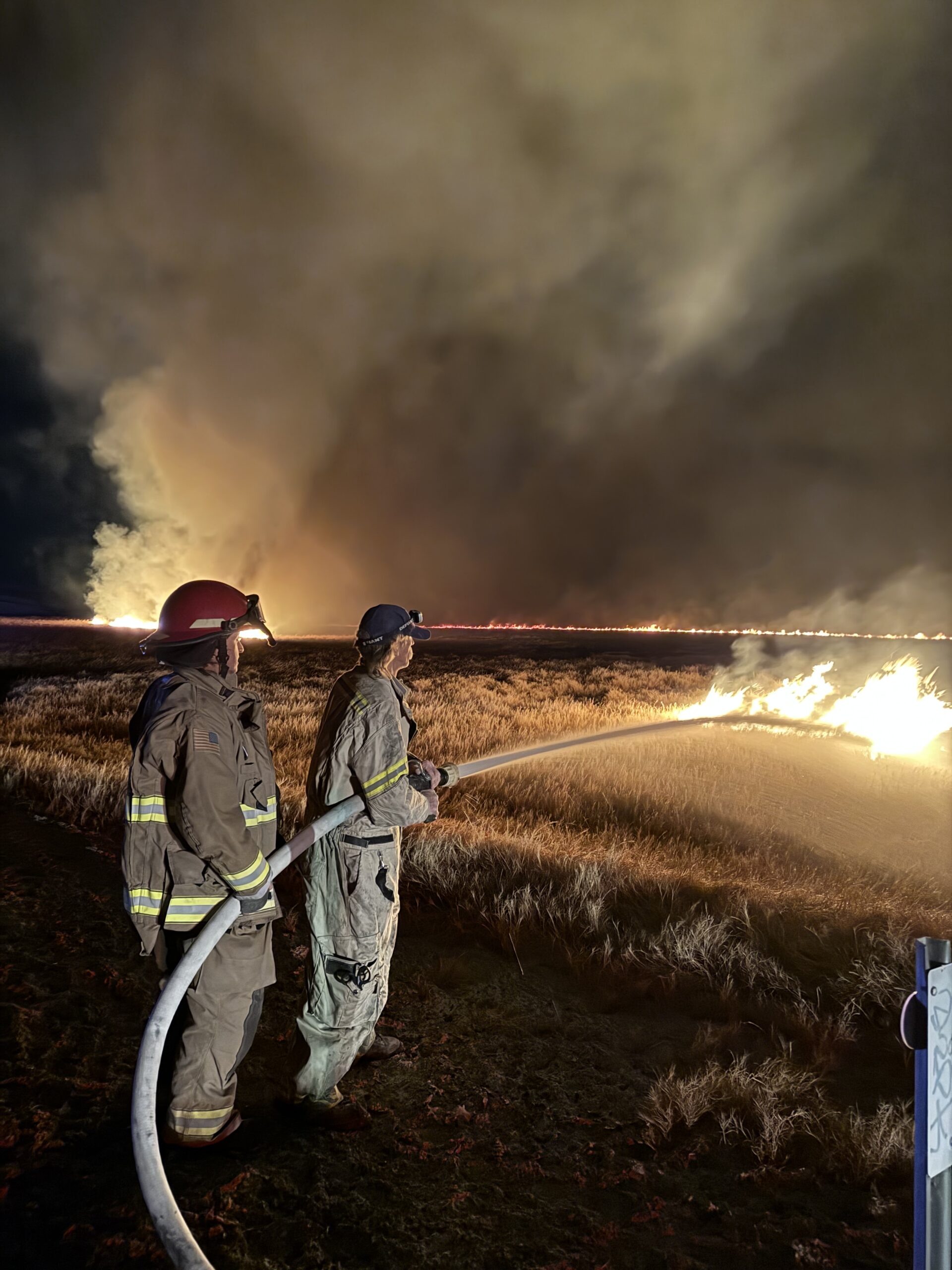 Fire Devastates Borehole Spring, Endangered Amargosa Vole Habitat