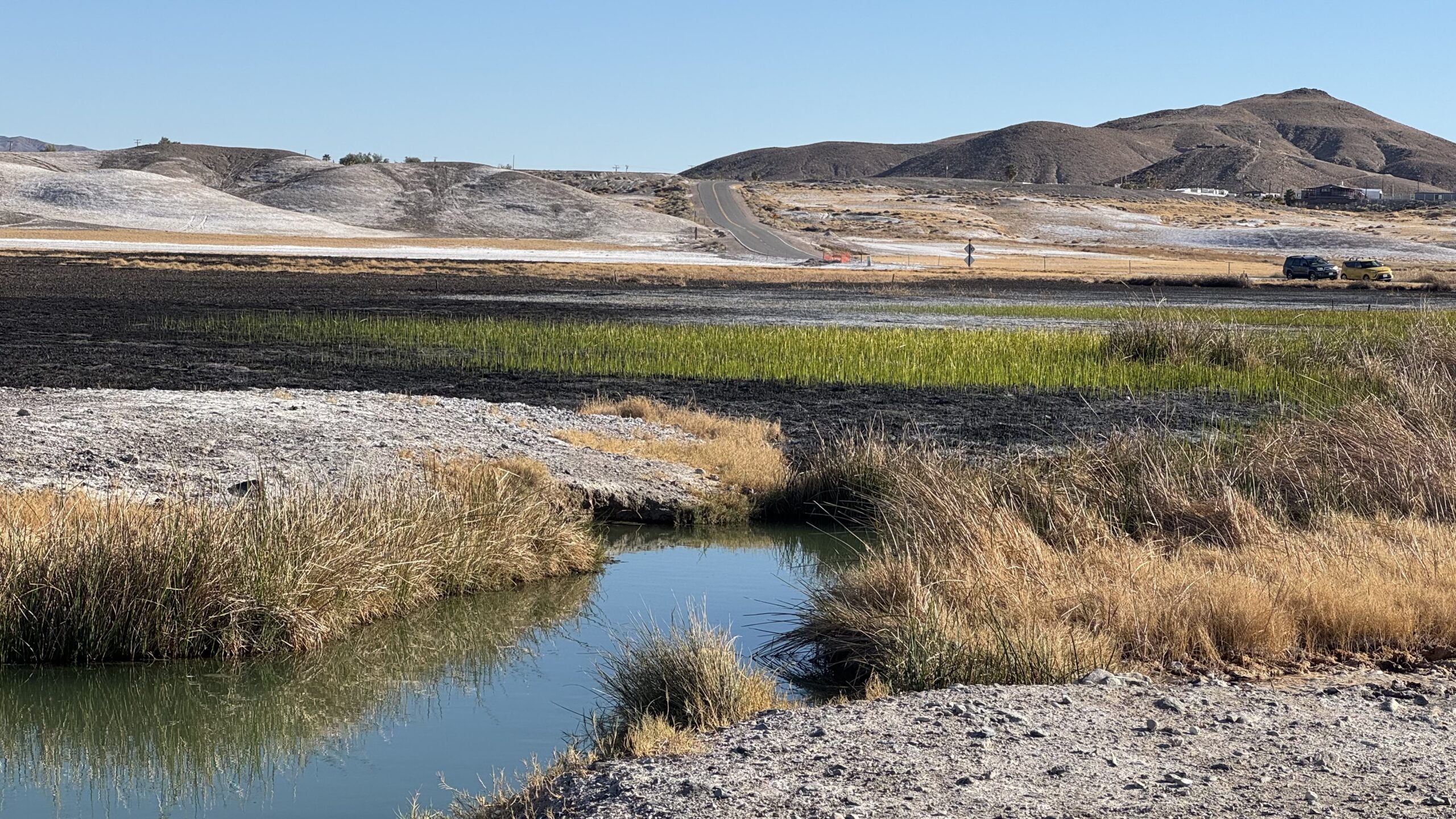 Heard Around Town: Water is Life