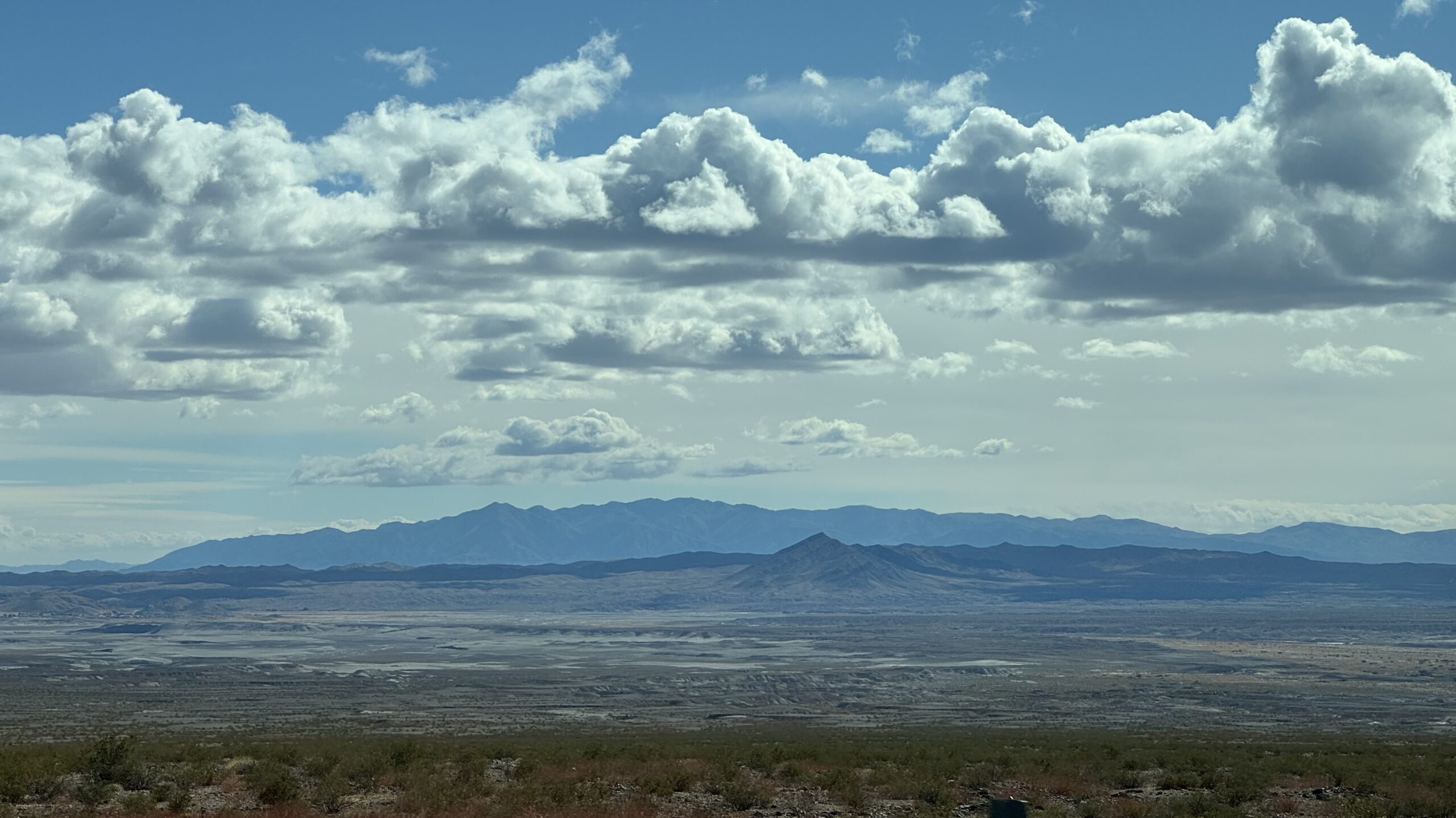 Failure to Protect: The Amargosa Wild and Scenic River and the Neglect of a Desert Ecosystem