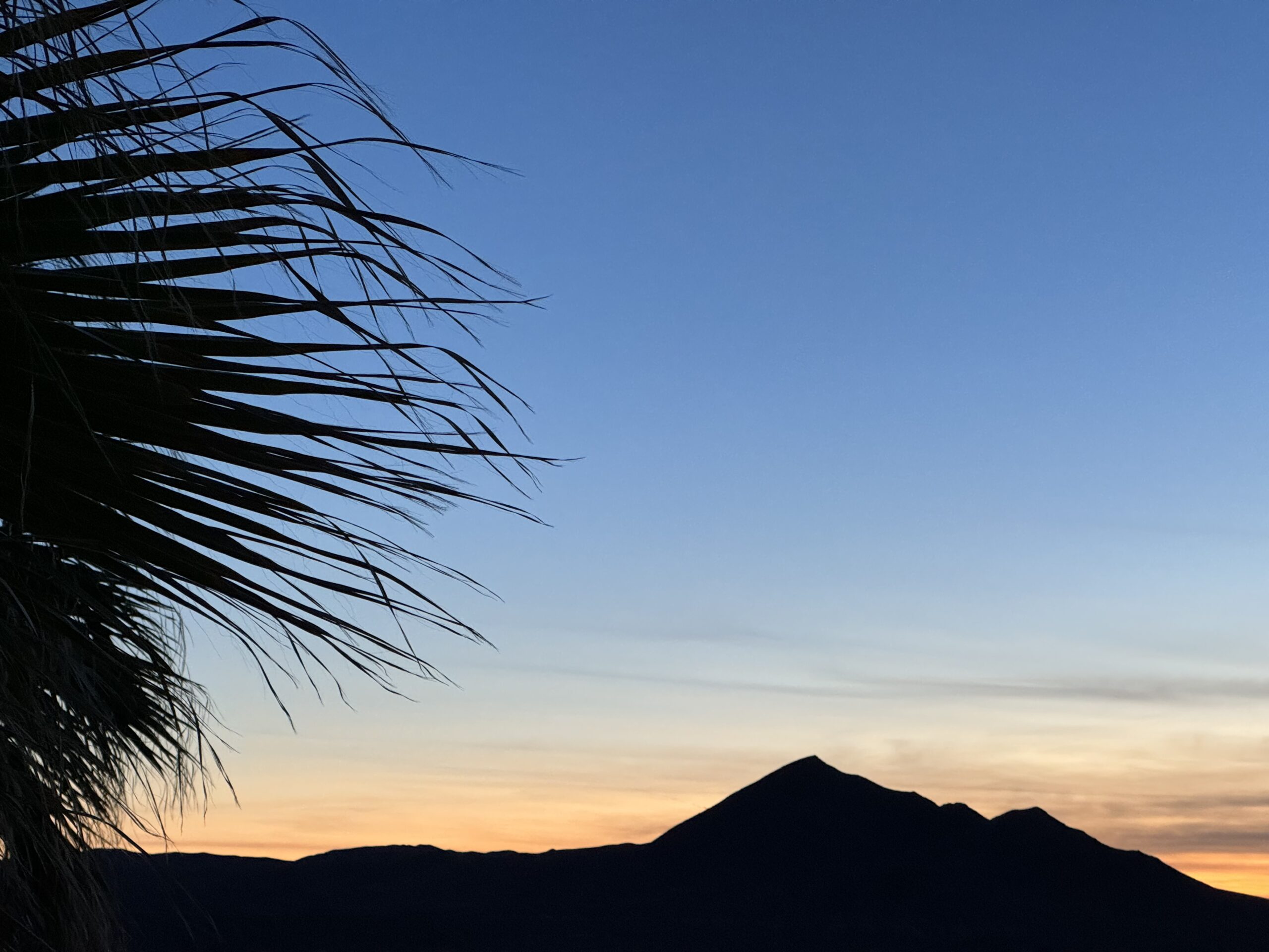Sagebrush Sally: The First Amendment Isn’t Optional—Even in Tecopa