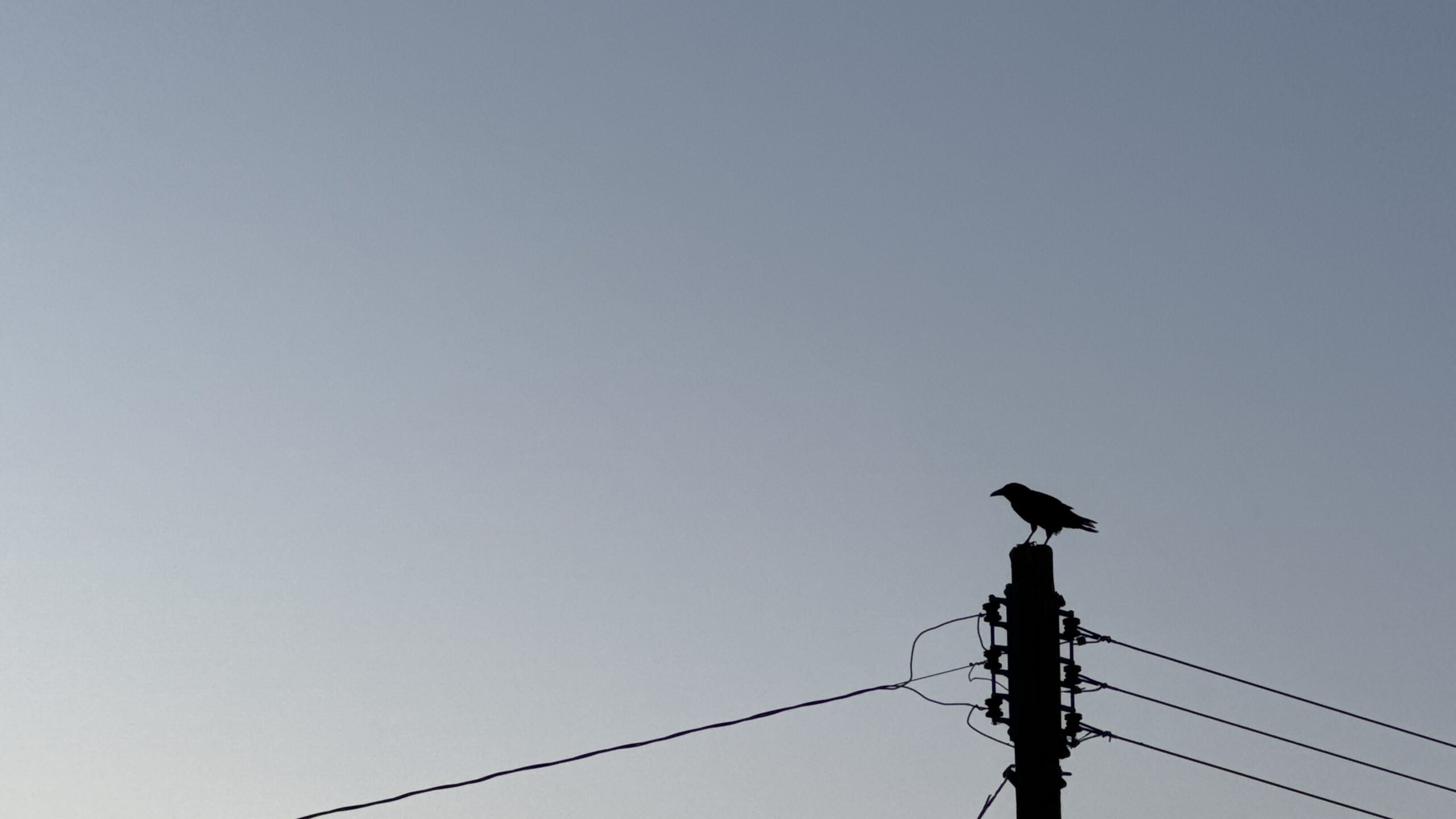 Heard Around Town: Only The Resilient Remain