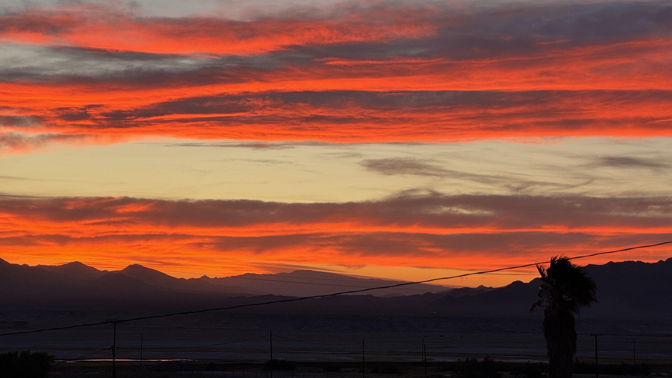 Sagebrush Sally: Speak Your Truth—Even If It Echoes