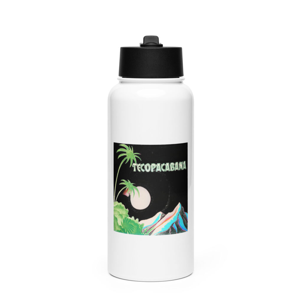 Stainless steel water bottle with a straw lid