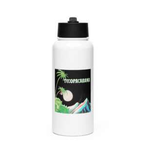 Stainless steel water bottle with a straw lid