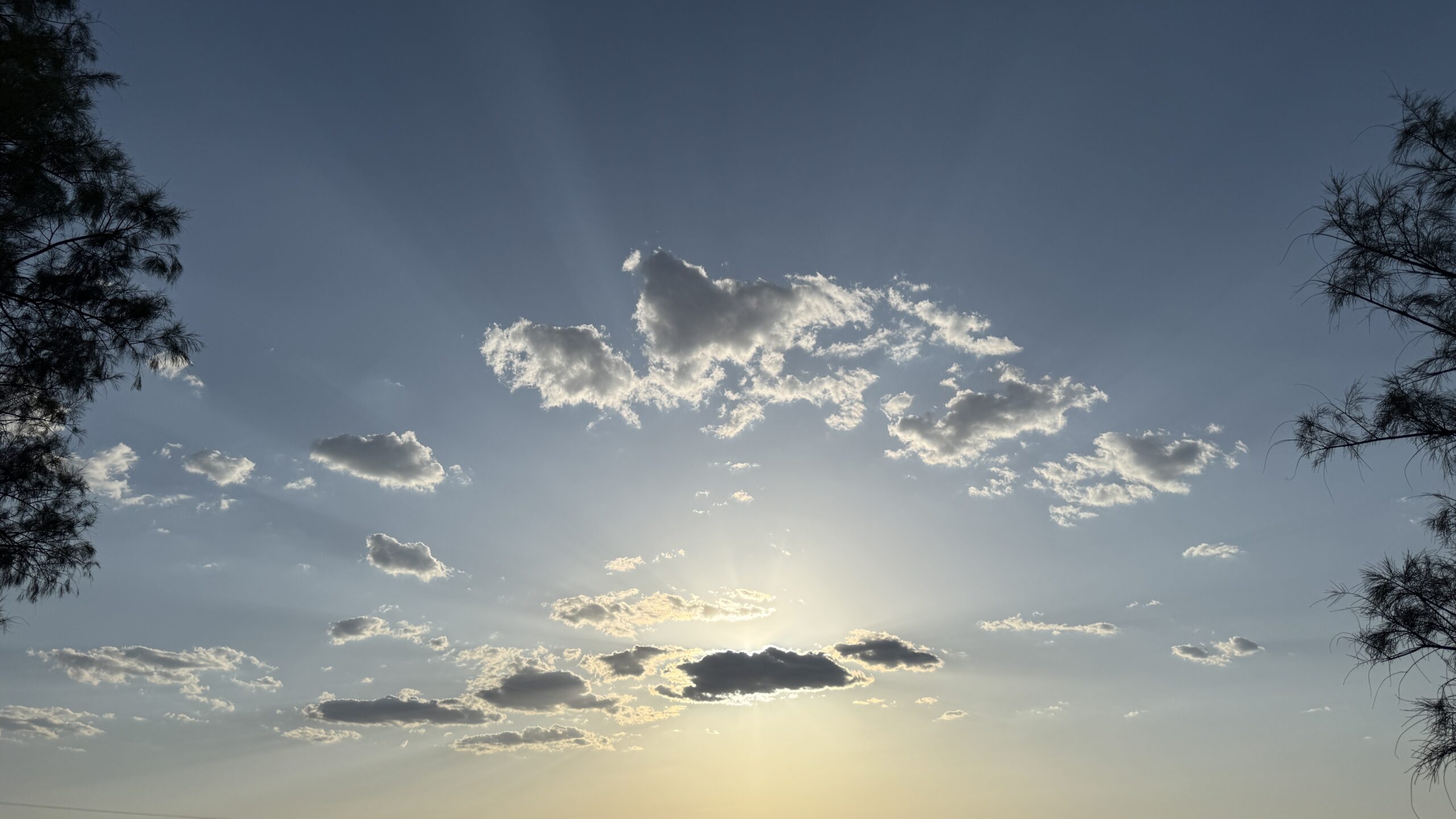 Sagebrush Sally: Trust Runs on Truth