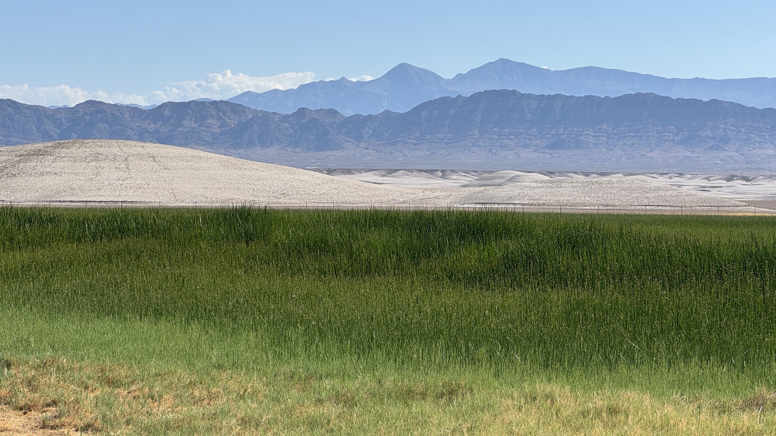 How the Desert Was Fed: Tecopa’s Farming Roots in the Mining Frontier