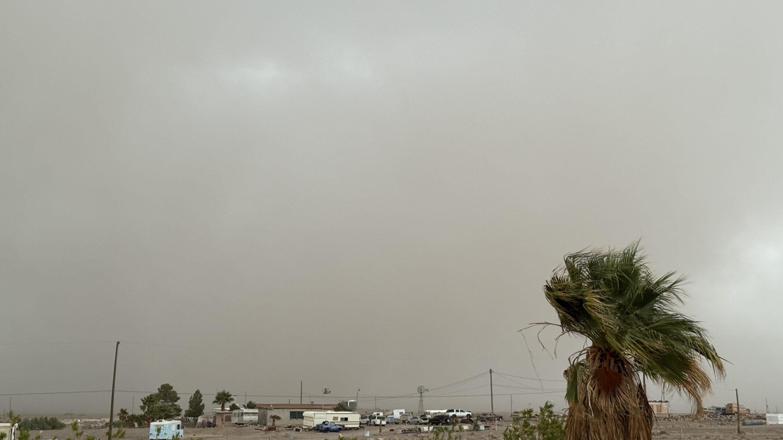 Heard Around Town: Rain, Renewal, and Resilience