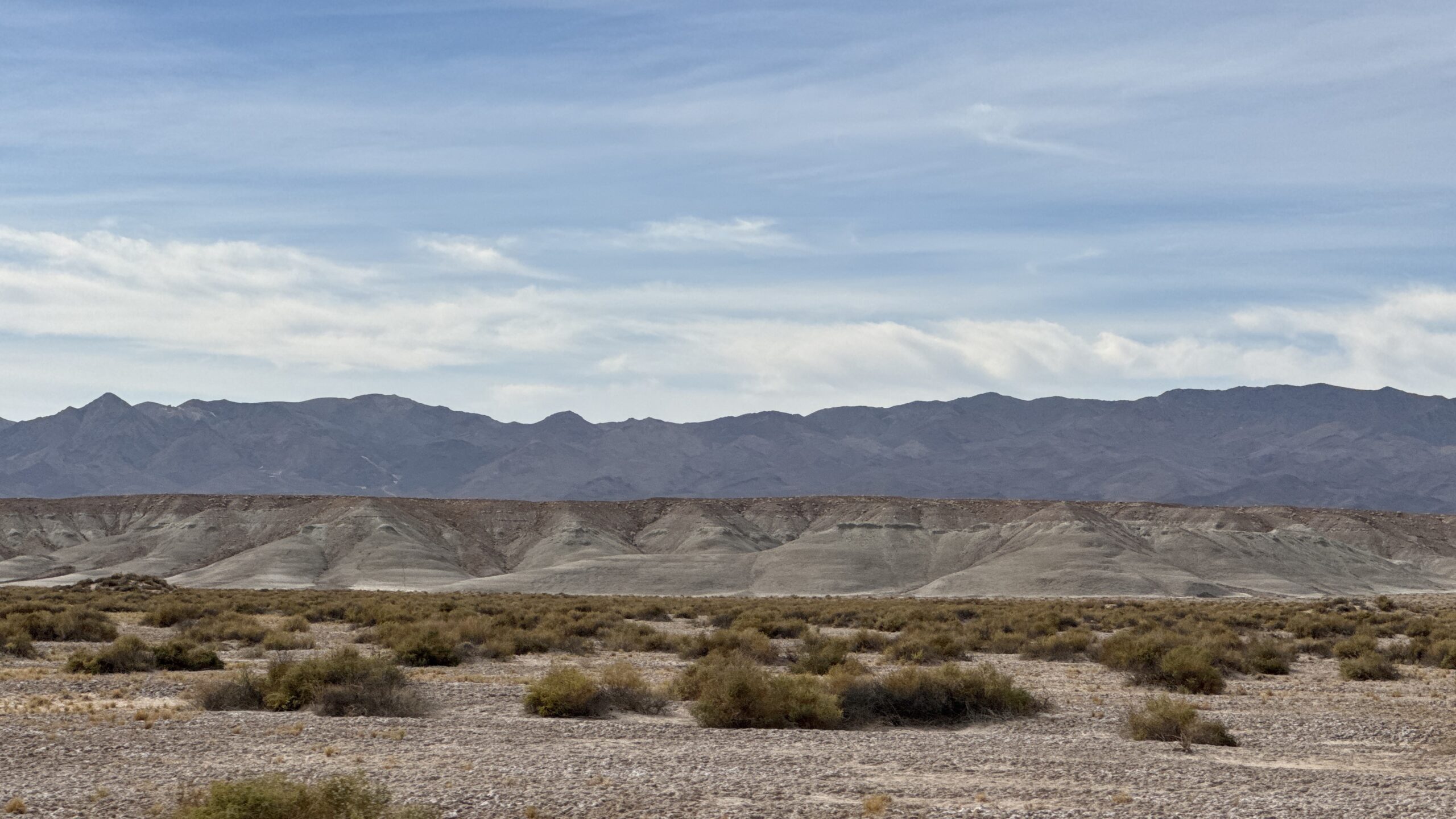 Study Finds No Evidence of Hantavirus in Tecopa and Shoshone Rodents, Despite High Rates in Nearby Death Valley