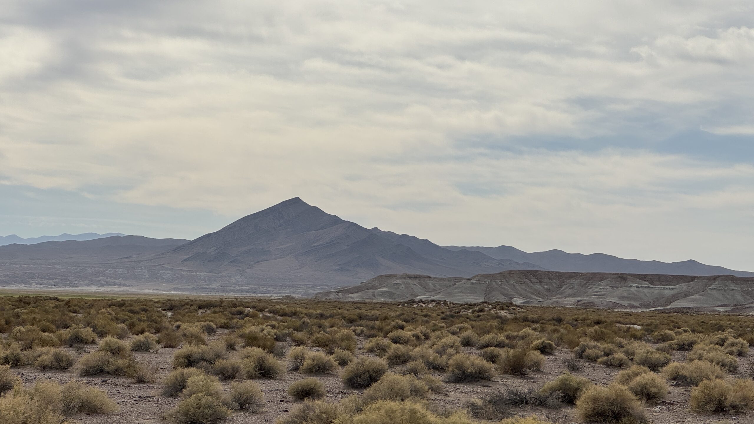 Sagebrush Sally: Calling a Truce