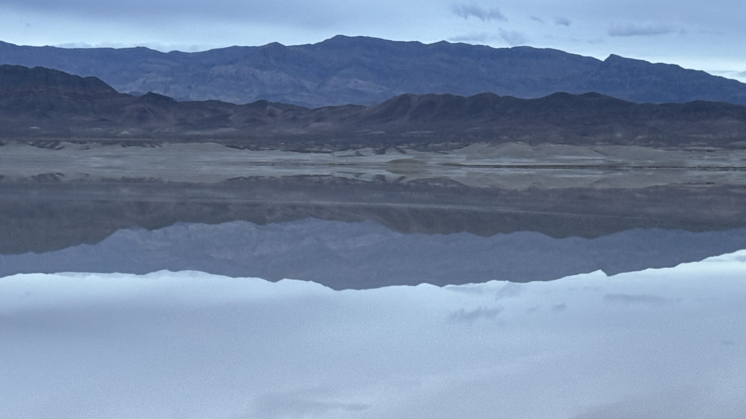 Sagebrush Sally: A Good Neighbor Knows When to Rest