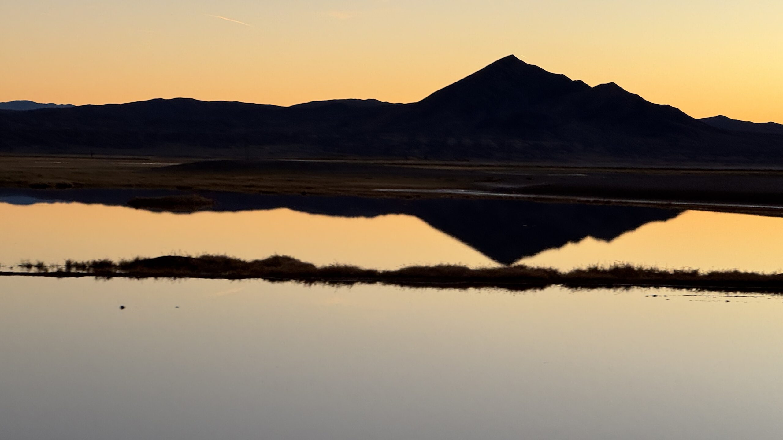 Sagebrush Sally: Don’t Get Drafted Into Someone Else’s Desert Drama