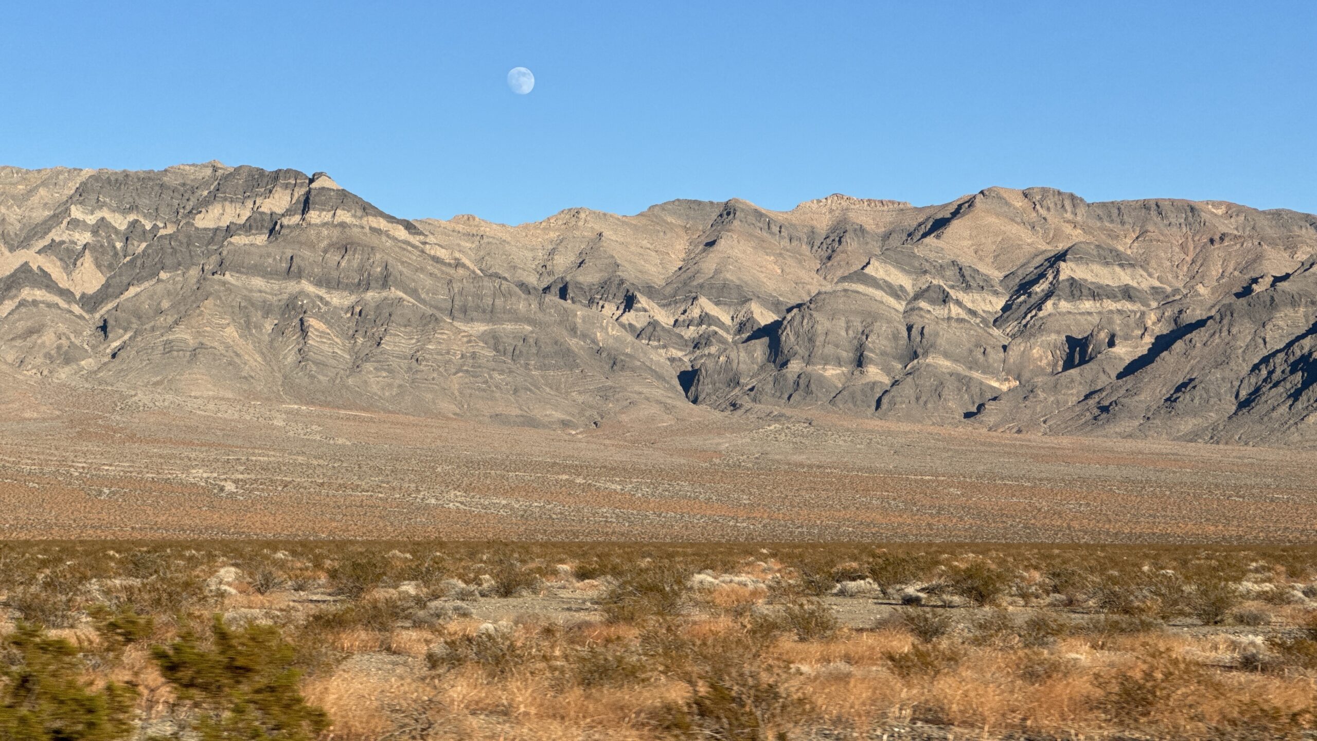 Sagebrush Sally: Talk Like You’ll See Them Tomorrow