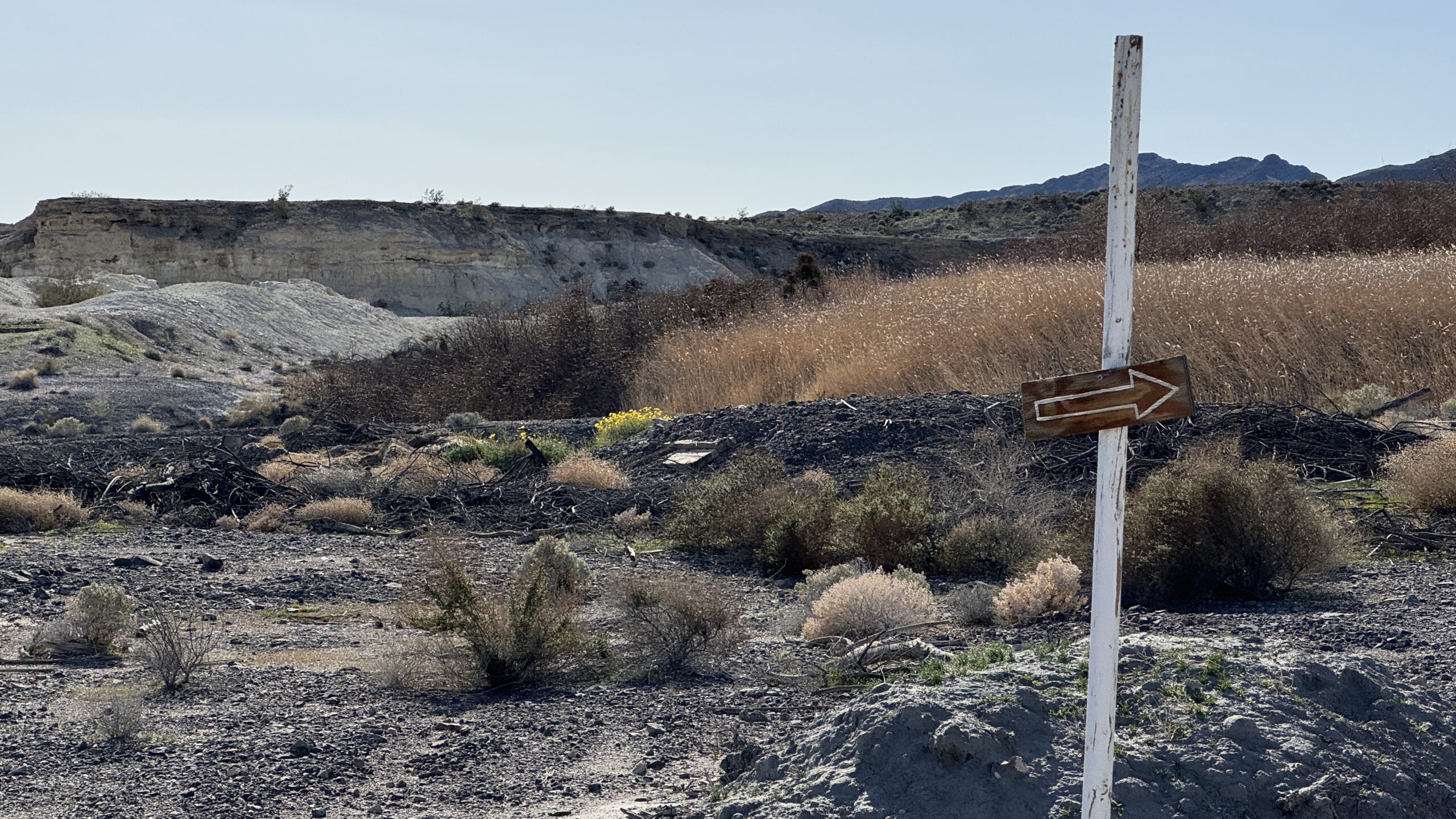 Sagebrush Sally: Stay Kind Without Getting Caught in the Drama