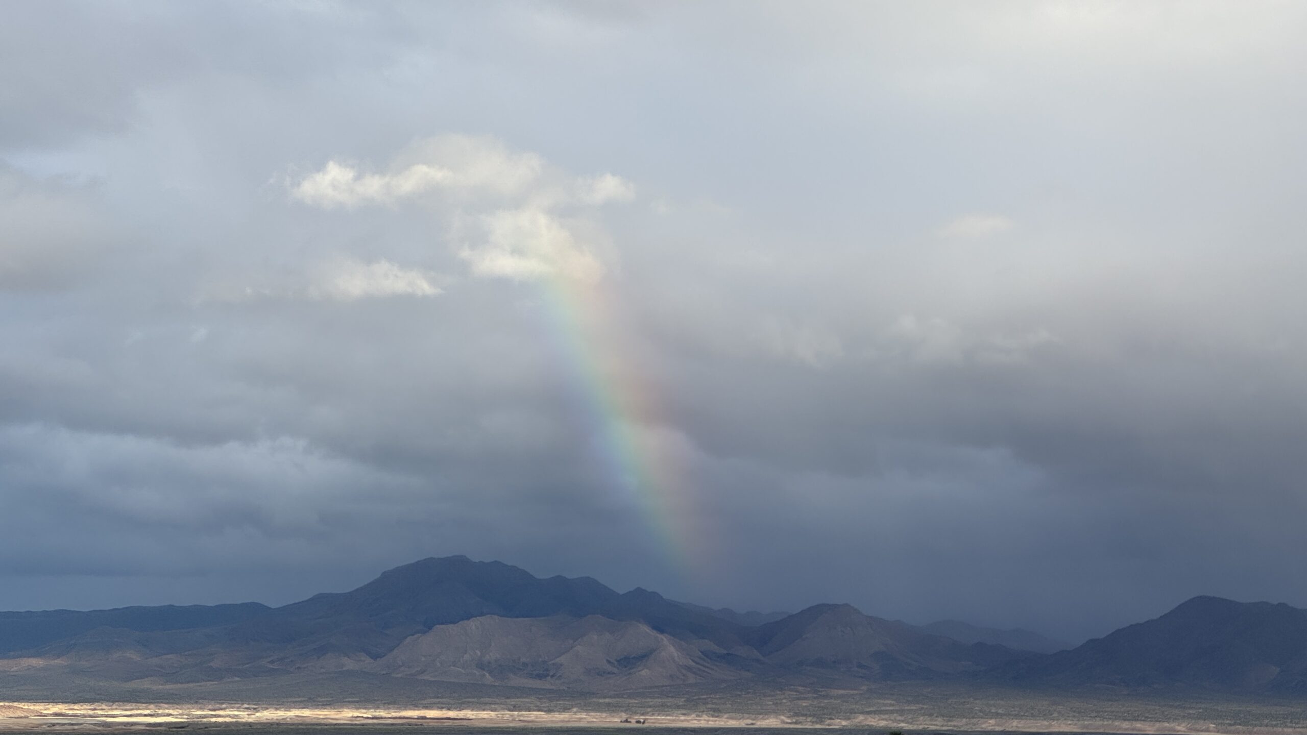 Heard Around Town: Best in Show