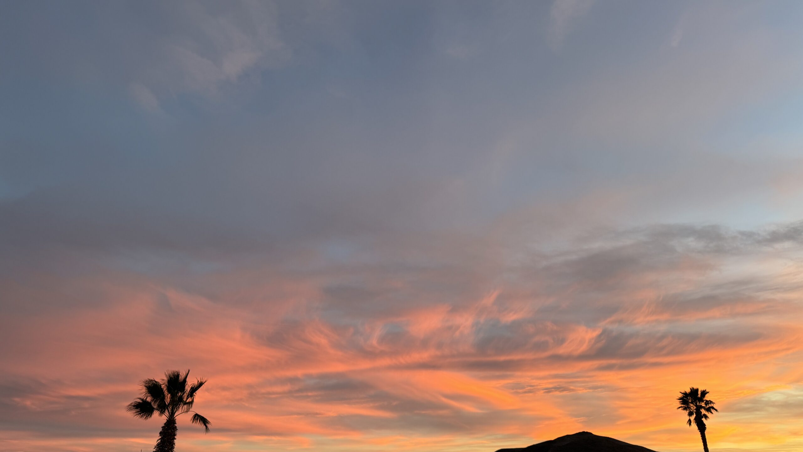 Sagebrush Sally: Respect Is the Price of Desert Freedom